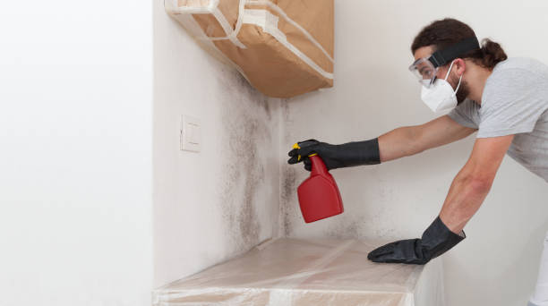 Professional Bathroom Mold Removal technician working in Marne, MI