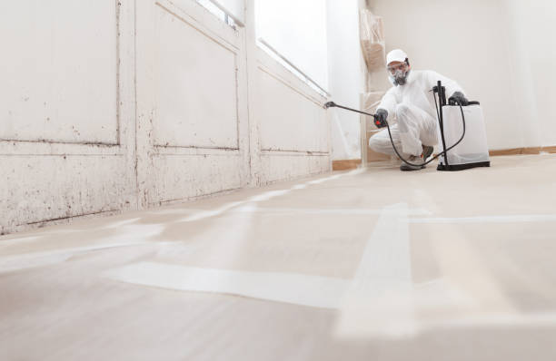 24/7 Emergency Bathroom Mold Removal experts in Marne, MI