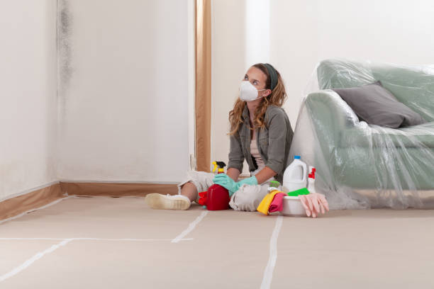 Reliable Bathroom Mold Removal contractor in Marne, MI by Mold Remediation HQ
